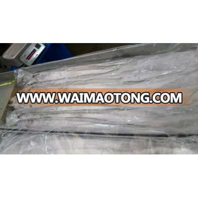 Ribbonfish whole AA Grade IQF and Shatter pack ( AA& A & B Grade)