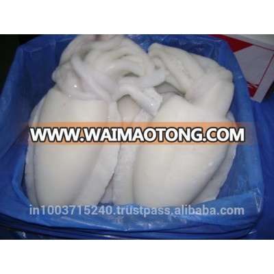 LOLIGO SQUID WHOLE ALL SIZES & CUTTLEFISH WHOLE CLEANED IQF