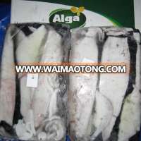 Loligo Squid whole & Semi Needle Squid whole all Sizes- Ready stock